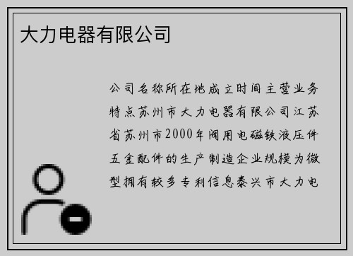 大力电器有限公司